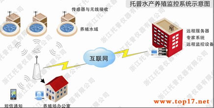 托普農(nóng)業(yè)物聯(lián)網(wǎng)之托普水產(chǎn)養(yǎng)殖監(jiān)控系統(tǒng) 智能化水產(chǎn)養(yǎng)殖的物聯(lián)網(wǎng)應用服務